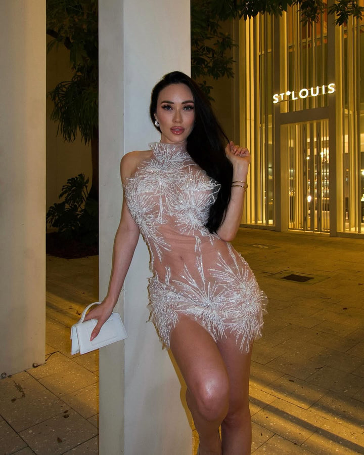Raelynn | Sleek Mesh Bodycon Skirt Dress