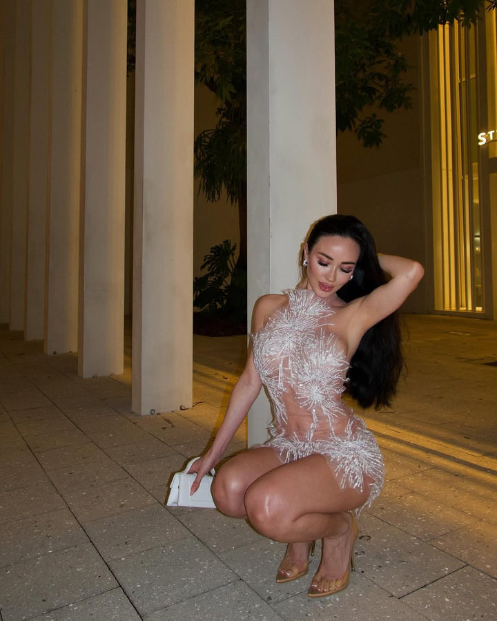 Raelynn | Sleek Mesh Bodycon Skirt Dress